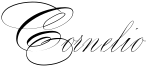 epzzr5ufptws6.png