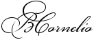 ejbs6huqcisg15a.png